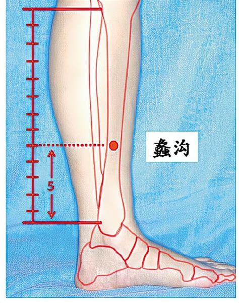 離溝穴|蠡溝穴